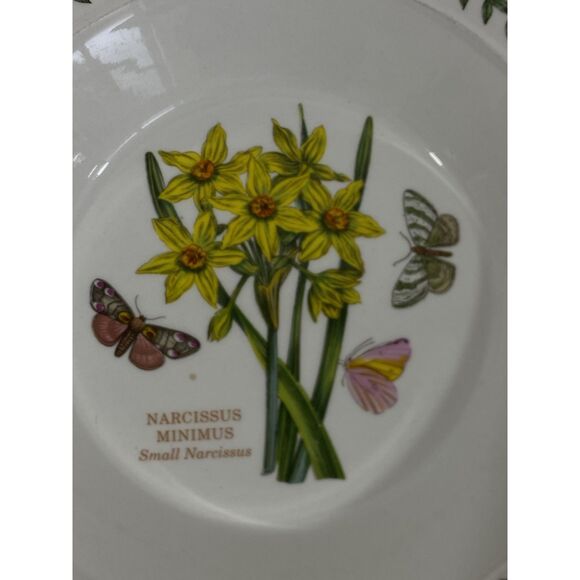 3 PORTMEIRION BOTANIC GARDEN 8 1/2" Rimmed Soup/Pasta Bowls Assorted - Picture 5 of 10